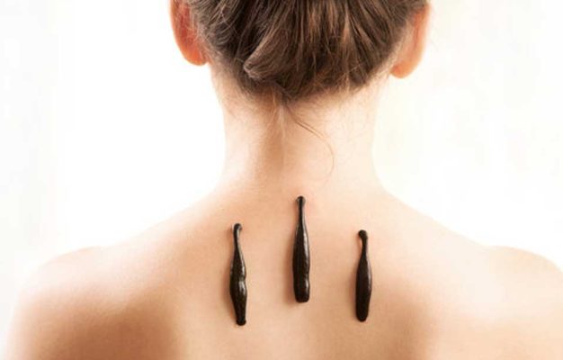 Leech_therapy