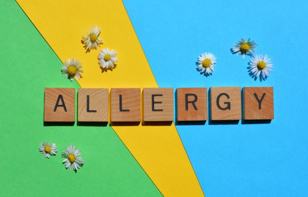 Allergy, word in wooden alphabet letters surrounded by daisy flowers isolated on brightly coloured background
